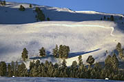Lamar Valley Yellowstone 